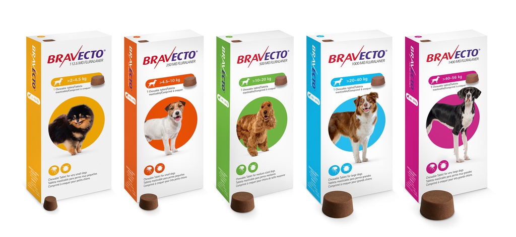 BRAVECTO 1400MG 40 A 56KG - Empire Pet