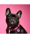 Collar Pink Nylon S
