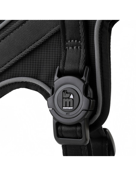 Harness Black Nylon M