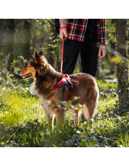 Harness Red Nylon SM