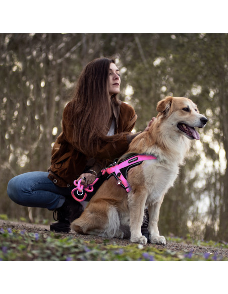 Harness Pink Nylon XS