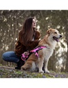 Harness Pink Nylon XS