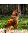 Harness Orange Nylon XS