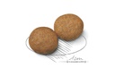 SHN Medium Adult 10KG