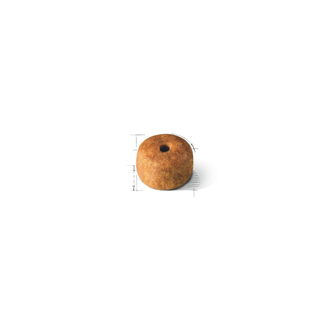 FBN Siamesse 2KG
