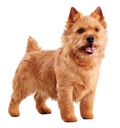 EUK Senior Small Breed 5LB