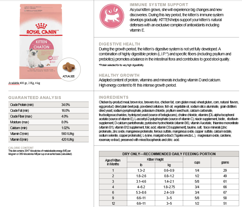FHN Kitten 400Gs