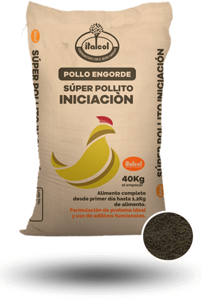 Super Pollito Iniciacion Dorado Quebrantado / Super Chick Initiation Golden Broken