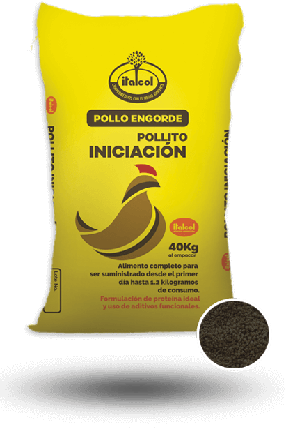 Pollito Iniciacion Quebrantado / Broken Initiation Chick