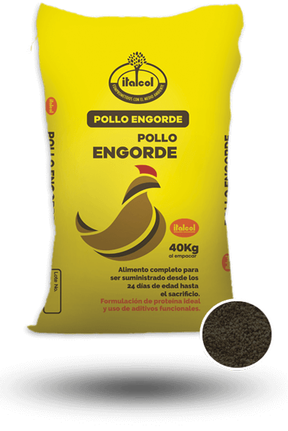 Pollo engorde peletizado / Pelleted broiler chicken