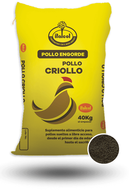 Pollo criollo quebrantado / Creole chicken broken