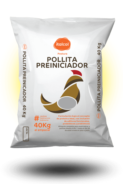 Pollita Preiniciador / Pre-starter chick