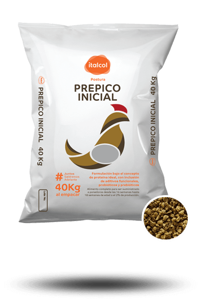 Prepico Inicial / Initial Prepico