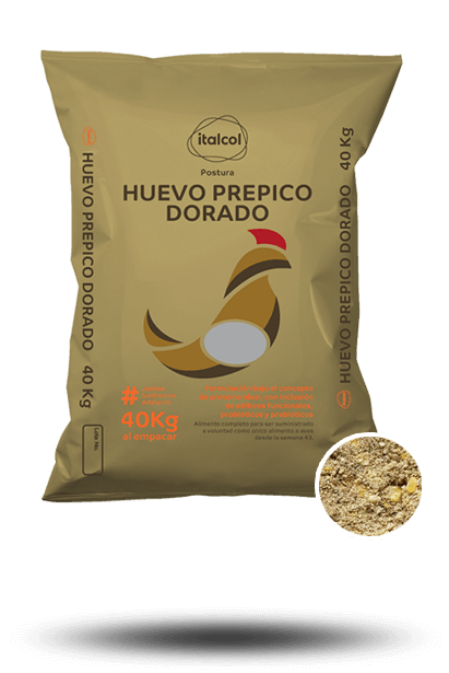 Huevo Prepico Dorado Quebrantado / Broken Golden Prepeak Egg