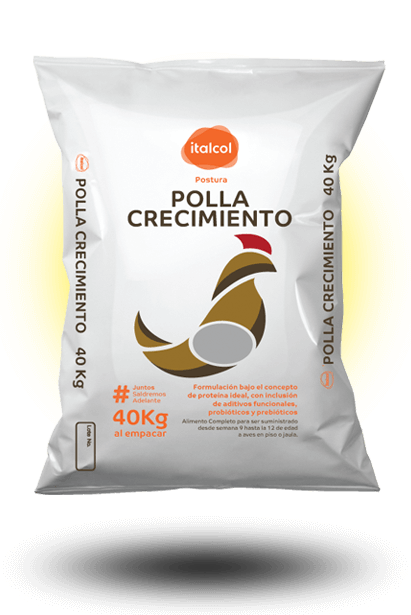 Polla Crecimento Quebrantado / Broken Growth Chicken