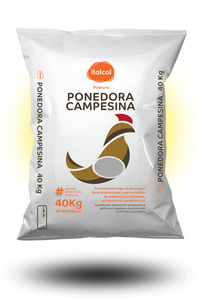 Ponedora Campesina Peletizado / Pelleted Peasant Layer