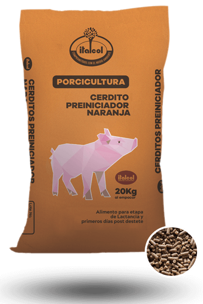 Orange Pre-starter Piggy 40KG.