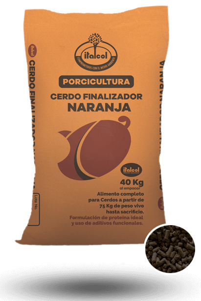 Orange Finisher pig 40KG.