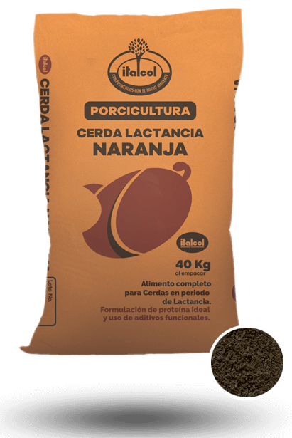 Orange Lactating Sow 40KG.