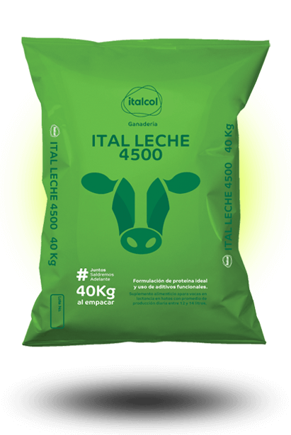 Ital Milk Flour 40KG.