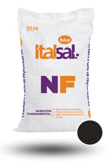 Italsal Fundamental Nutrition 40KG.