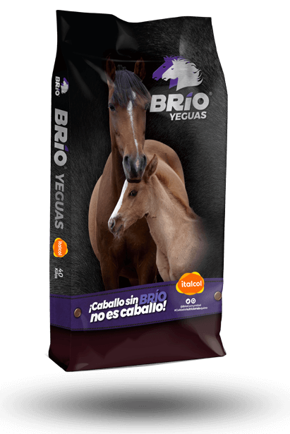Brio Mares 40KG.