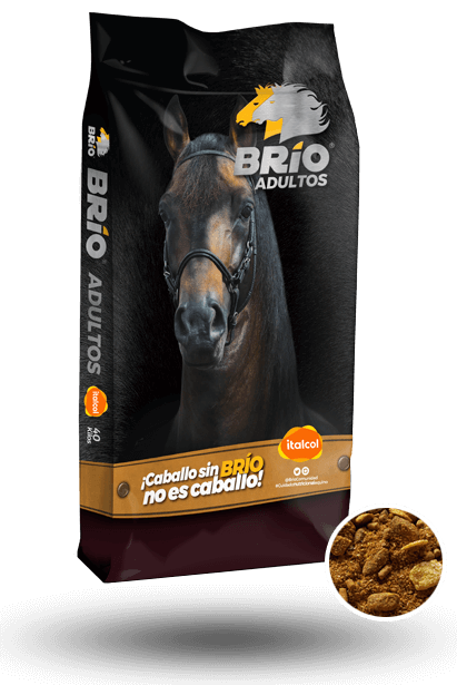 Brio Adult 40KG.