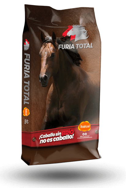 Total Fury 40FG.