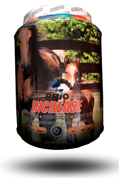 Brio Increase Bottle 2KG.