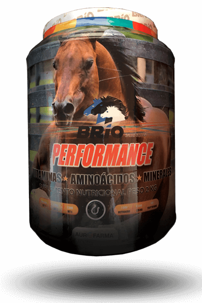 Brio Performance Bottle 2KG.
