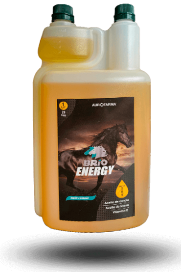Brio Energy 1LT.