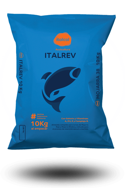 Italrev 40KG.
