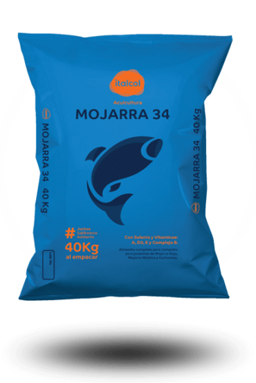 Mojarra 34 extruded 40KG.