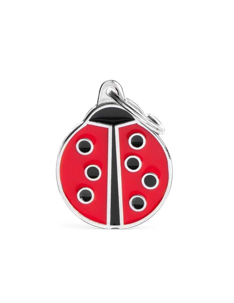 Big Ladybug