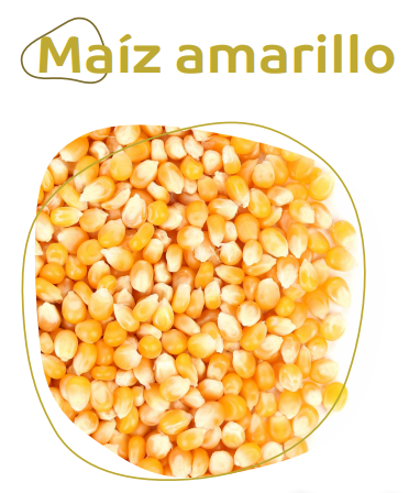 Maiz Amarillo Entero Pre Limpiado  40KG.
