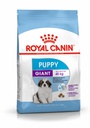 SHN Giant Puppy 15KG
