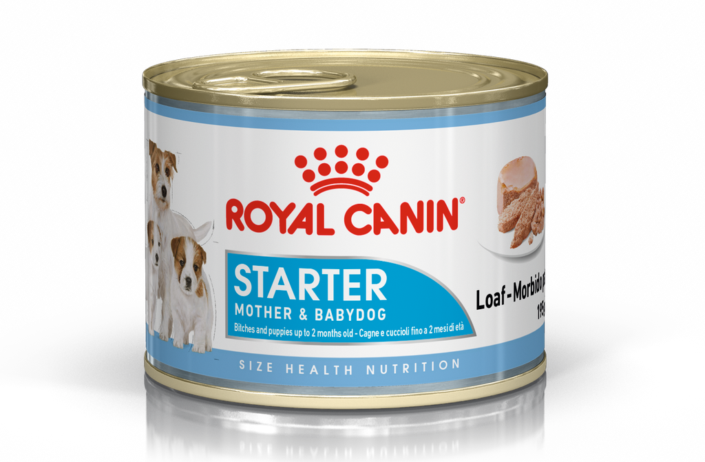 SHN Starter Mousse Wet Can 195Gs