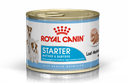 SHN Starter Mousse Wet Can 195Gs