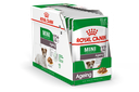 SHN Mini Ageing Wet 12x85Gs