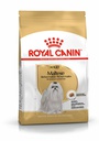 BHN Maltese Adult 1,5KG