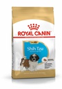 BHN Shih Tzu Puppy 1,5KG