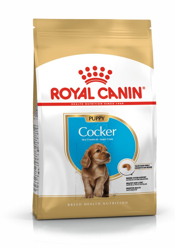 BHN Cocker Puppy 3KG