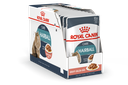 FCN Hairball Care 12x85Gs