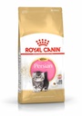 FBN Kitten Persian 32 2KG