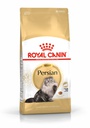 FBN Persian  4KG