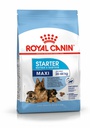 SHN Maxi Starter M&amp;B 4KG