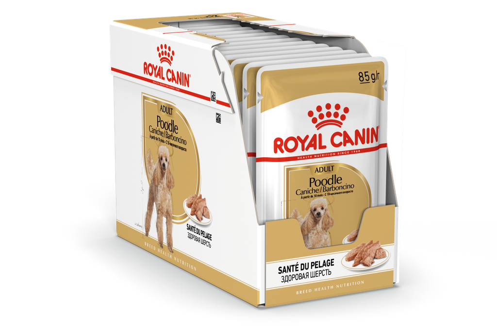 BHN Poodle Adult 12x85Gs