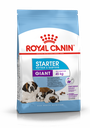 SHN Giant Starter 15KG