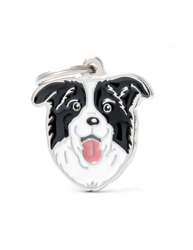 Border Collie