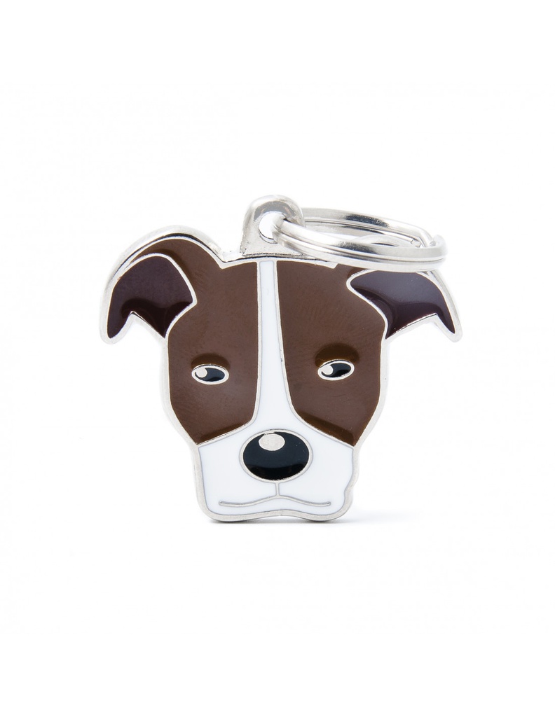 Brown and White American Pit Bull 